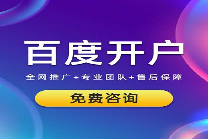 SEM网络推广案例：低成本高回报的营销策略